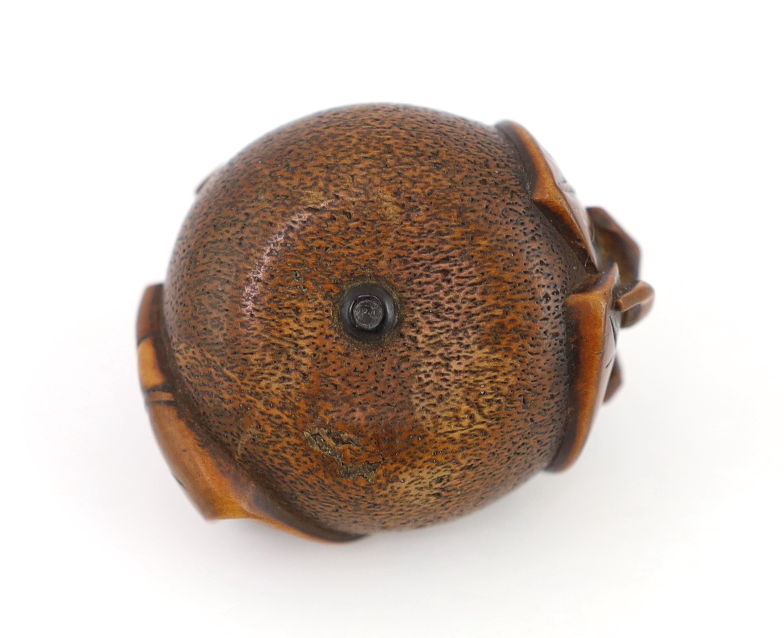 A Japanese carved wood netsuke of a pumpkin with a stalk and leaves, 19th century, signed Tomonoru